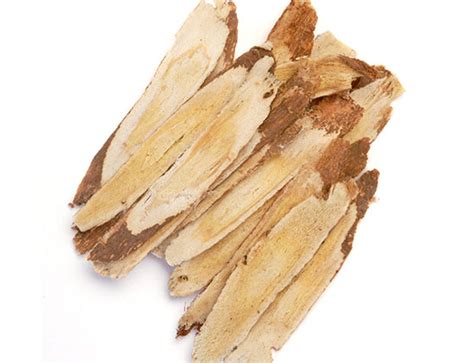 Bulk Organic Astragalus Membranaceus Powder/Root Wholesale Manufacturer ...