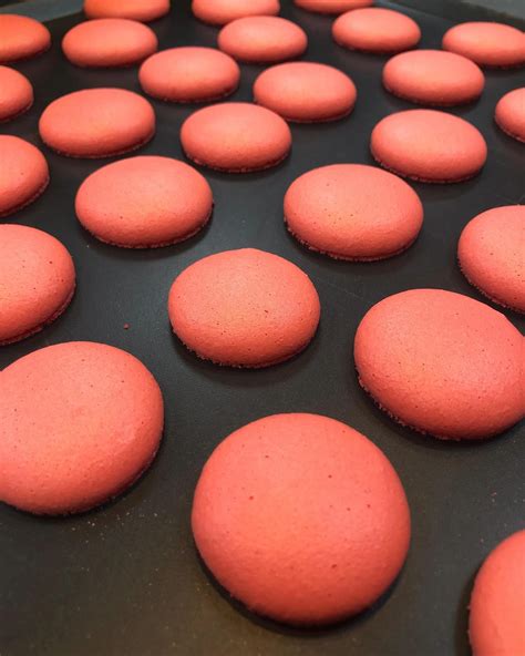 Chef Talita Ferrari (@cheftalitaferrari) • Instagram photos and videos