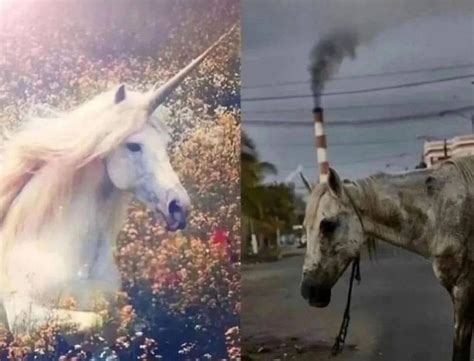 Create meme "unicorn horse, the unicorn is beautiful, unicorn live ...