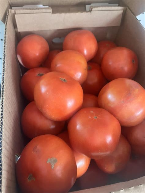 Rockford Farm Market | Rockford AL