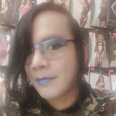 meow traps - meow traps added a new photo.