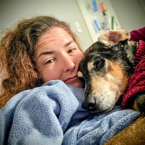 Always &... - Always & Furever Midwest Animal Sanctuary