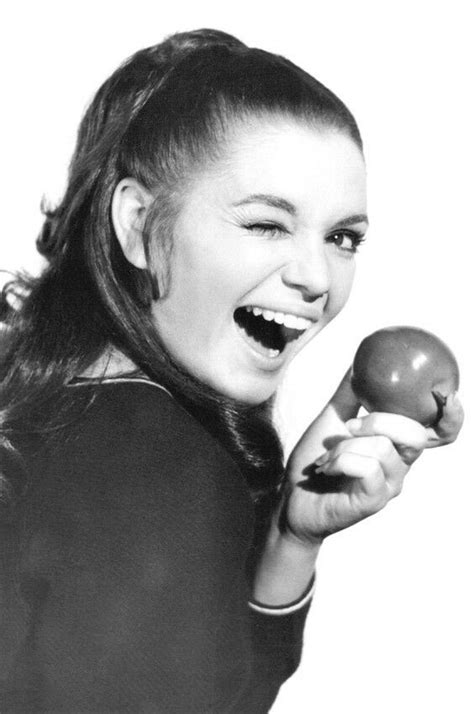 Room 222 (1969)