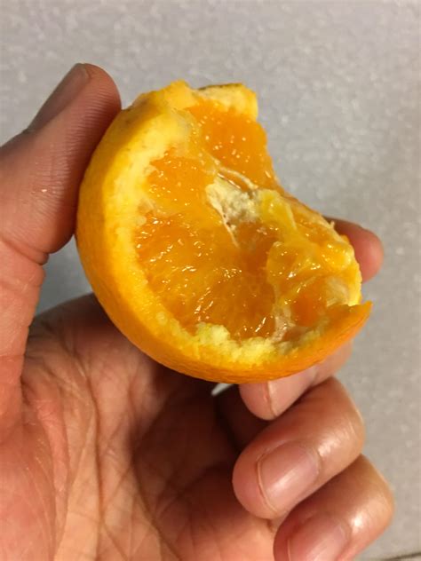 52 best Navel Orange images on Pholder | Mildlyinteresting, Gardening