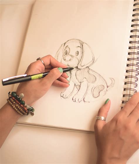 animation  illustrations  behance