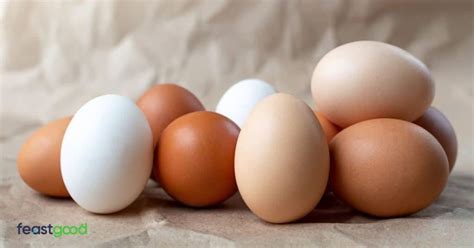 15 Post-Workout Alternatives To Whey Protein - FeastGood.com