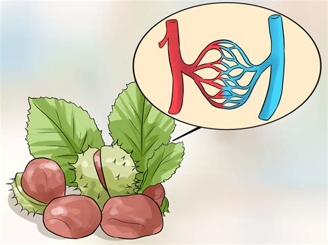 How Do Hemorrhoids Heal at Steven Hines blog