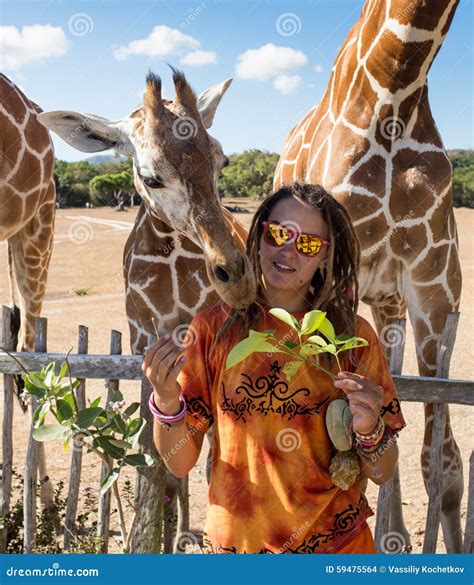Girl Feeding Giraffe at Zoo Stock Photo - Image of contact, captivity