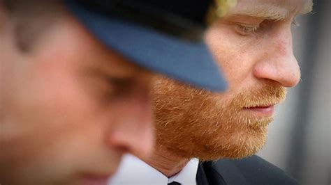 accountability apologies  unfinished business  prince harry