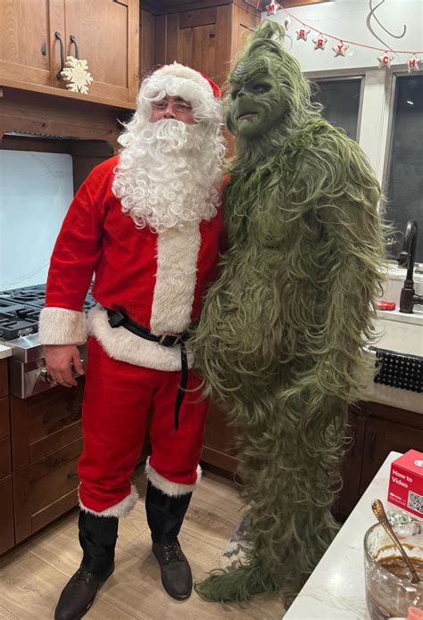 realistic grinch costume 1