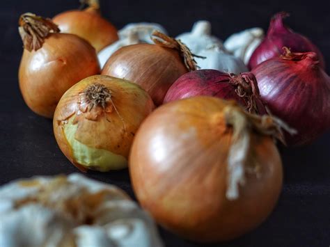 Anions Anion Garlic - Free photo on Pixabay