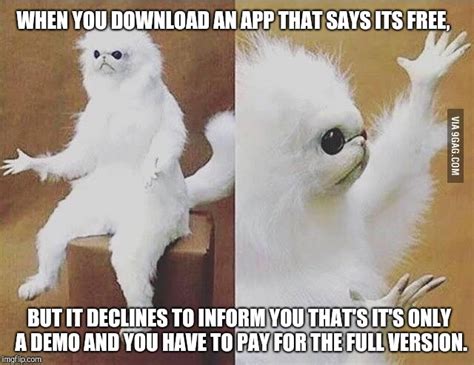 Confused white monkey Memes - Imgflip