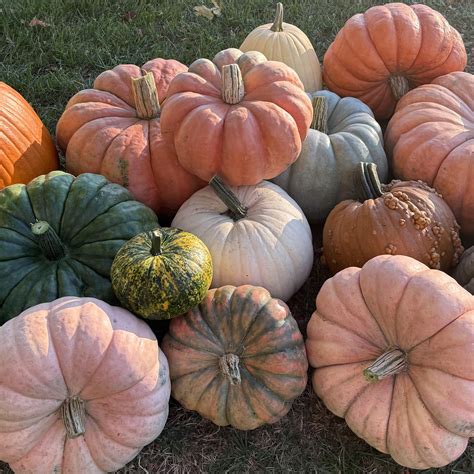 New conservation efforts will protect Runnymede for future visitors 4