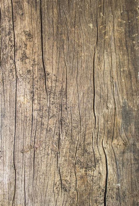 dTed’s Woodworking Review — How The Product Of Wood Plans Can Benefit ...