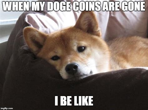 Sad Doge Memes - Imgflip