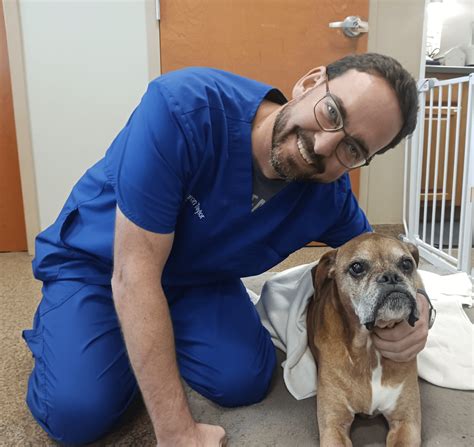 Pet Dentistry In Fletcher, NC | Fletcher Animal Hospital