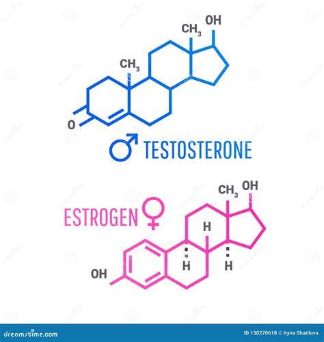 Main Facts about Men and Women Sexual Health. Stock Vector