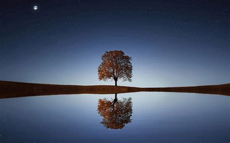 captivating anthony de mello quotes