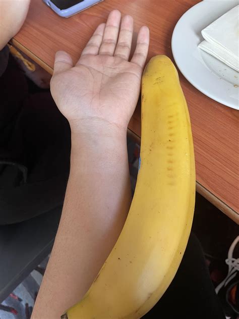 Giant Banana