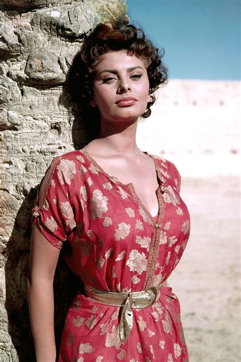 Sophia Loren's Iconic Style In Photos | Sophia loren photo, Sophia