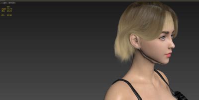 ds maxmax cg