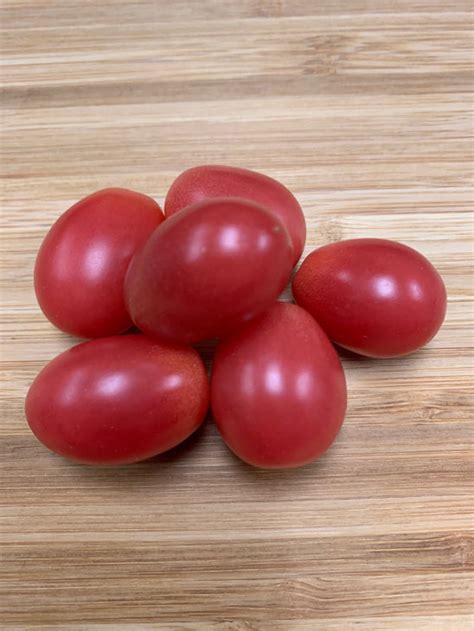 Brandysweet Plum Tomato – Tomato Growers Supply Company