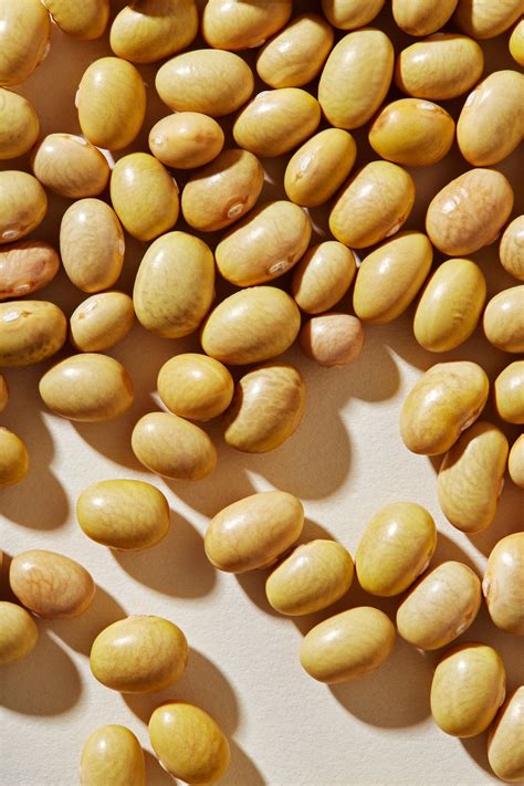 Organic beans from uncompromising farms | Beanstory