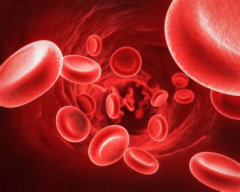 Blood clots and pregnancy – Know your risk | Oohs N Coos