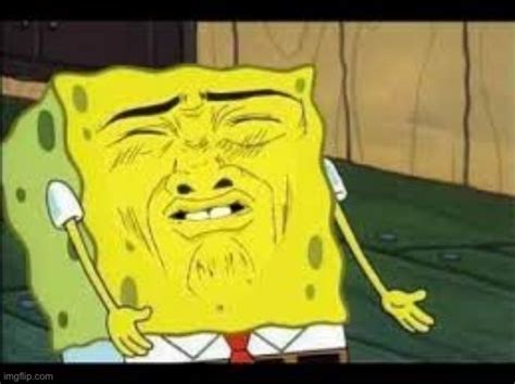 disgusted spongebob imgflip