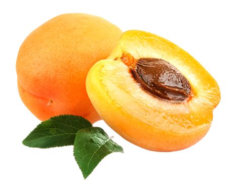 Apricot PNG Image - PurePNG | Free transparent CC0 PNG Image Library