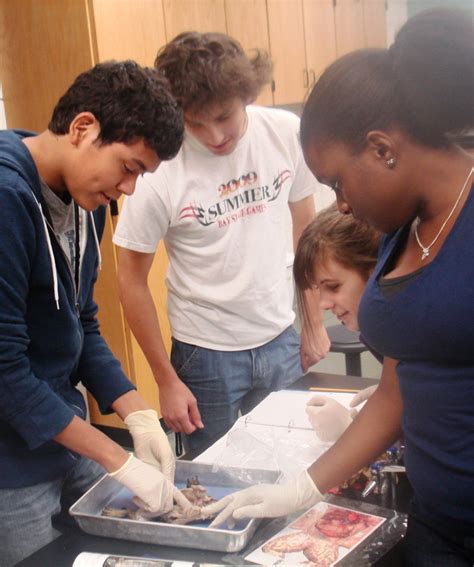 dissection | Principles of Biology Lab