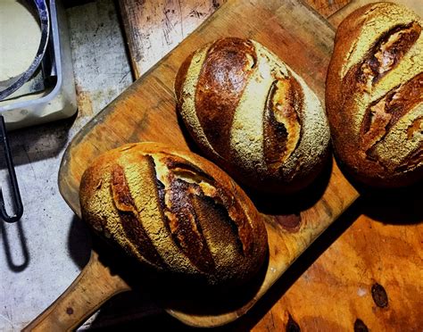 Sourdough Workshops — School of Sourdough