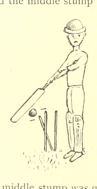 image   page   crickety cricket poems flickr