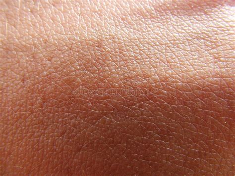 human flesh texture stock   royalty  stock