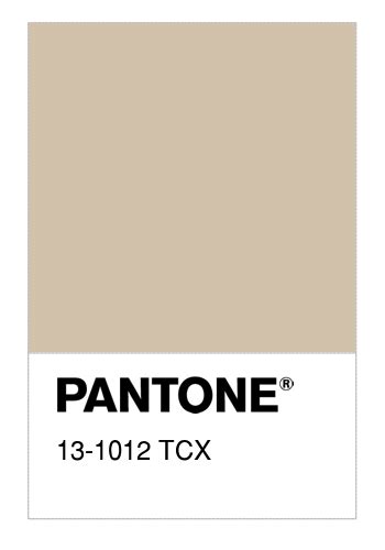 Colore PANTONE® 13-1012 TCX Frosted Almond - Numerosamente.it