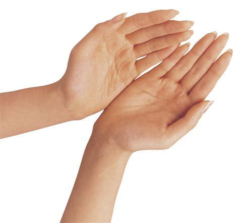 praying hands png