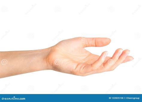 woman showing open hand   showing  stock photo image