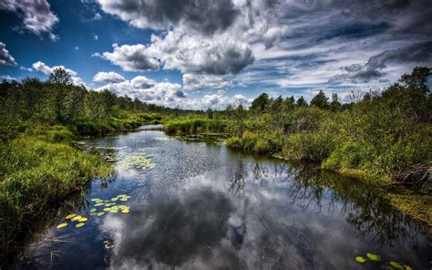 HD Nature Wallpapers - Top Free HD Nature Backgrounds - WallpaperAccess
