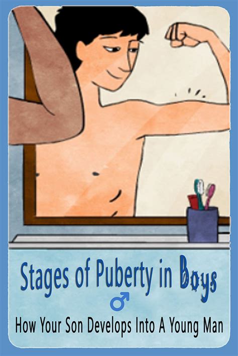 Stages Of Puberty