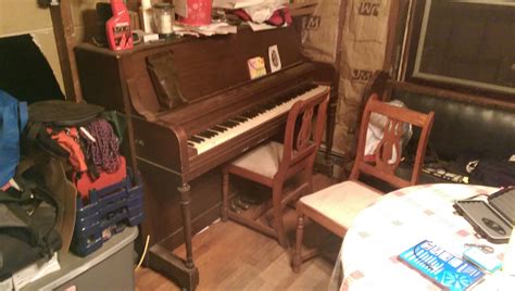 determine  age   mason  risch piano mozart project