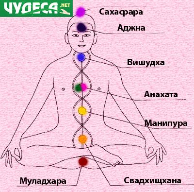 sedemte-chakri-cvetove-01 – Чудеса.net