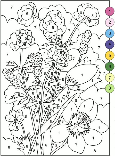 Adult Color by Number Books | AdultcoloringbookZ