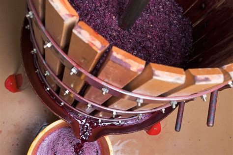 red wine   wine enthusiast