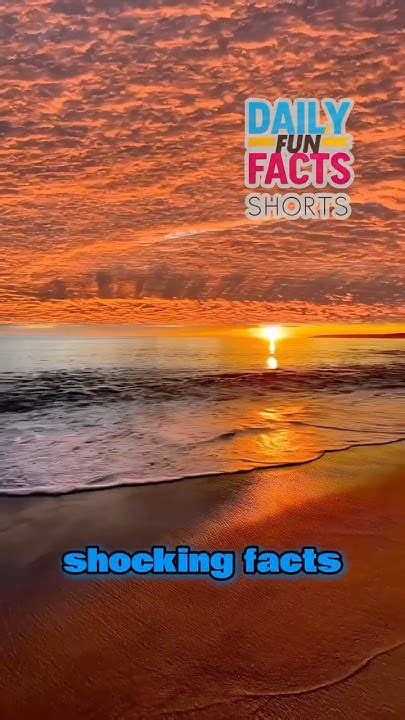 SkipTheGamesNC: 10 Shocking Facts You Won’t Believe - lm39gyy