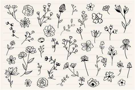 flower  vectors  illustrations drawings png clip art