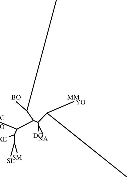 nearest neighbor tree   relation distances  scientific