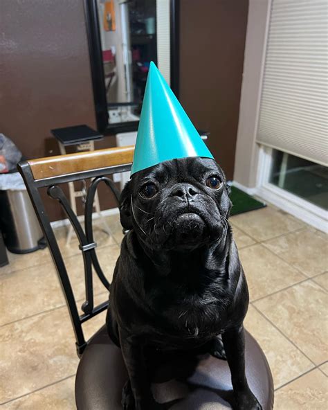 AmberLynn Walker (@walkeramberlynn) • Instagram photos and videos