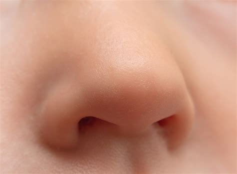 Nose: Facts, Function & Diseases | Live Science