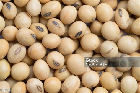 close  soy beans background stock photo  image