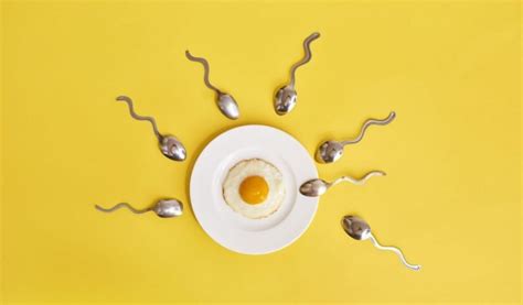 Top 10 Foods to Increase Sperm Count... And the 7 to Avoid